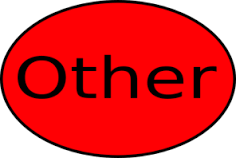red circle with "other" inside